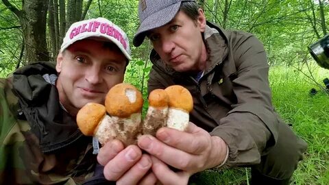 Грибники чувашии