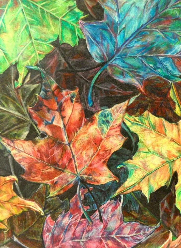Осенние листья цветными карандашами. Красивый лист цветными карандашами. Рисунки на альбомном листе. Кленовый лист цветными карандашами. Листья цветными карандашами.