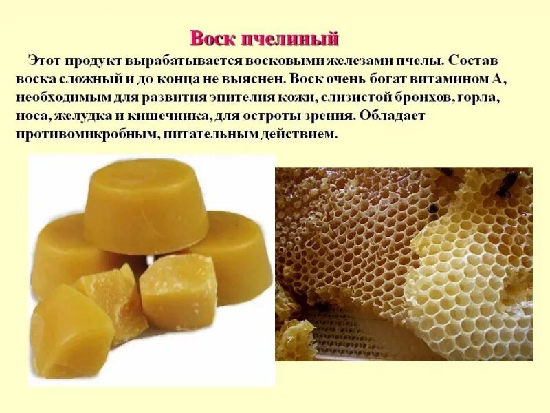 Мед после химии. Пчелиный воск. Продукты пчеловодства. Состав пчелиного воска. Воск в пчеловодстве.