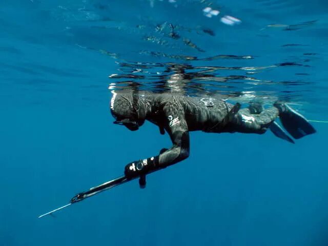 Подводный охотник. Аквалангист с гарпуном. Два подвоха. Подводная охота чебоксары федерация. Подводная рыбалка.