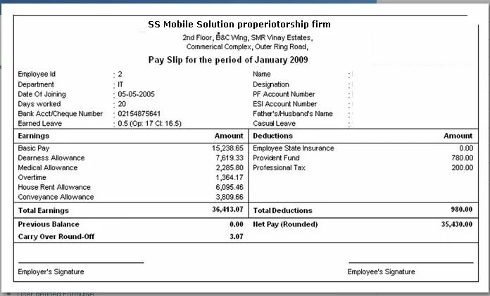 Solution statement. Payslip sample. payslip example. salary slip. salary statement.