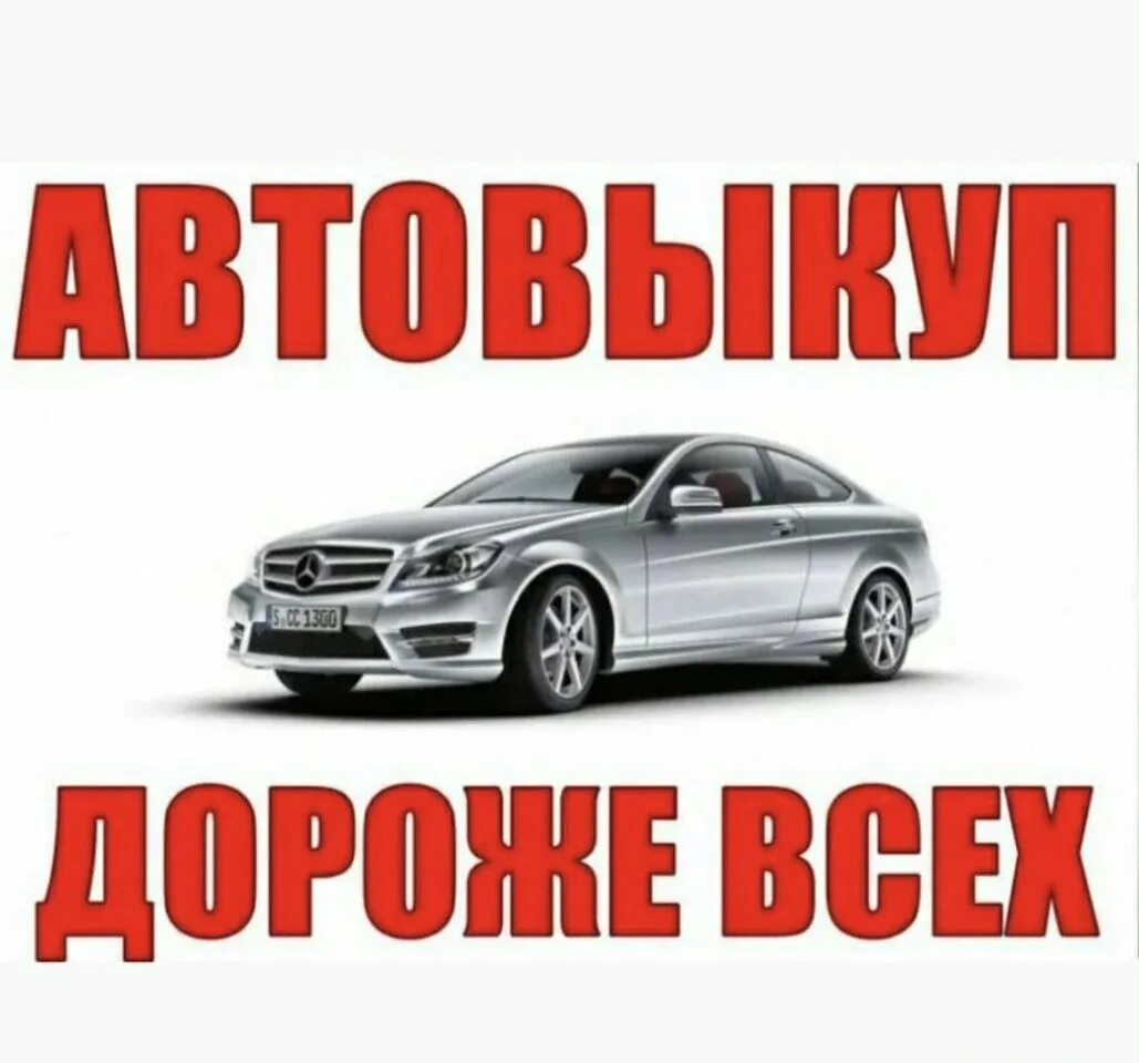 Автовыкуп область. Выкуп авто. Срочный выкуп авто. Автовыкуп дороже всех. Выкуп вашего авто.