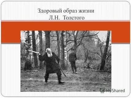 Образ жизни толстого