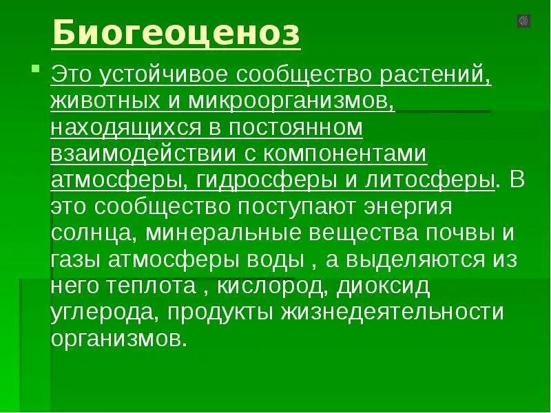Биоценоз и экосистема. Сообщество организмов биогеоценоз. Биоценоз. Производители органических веществ в экосистеме. Функциональные группы экосистемы.