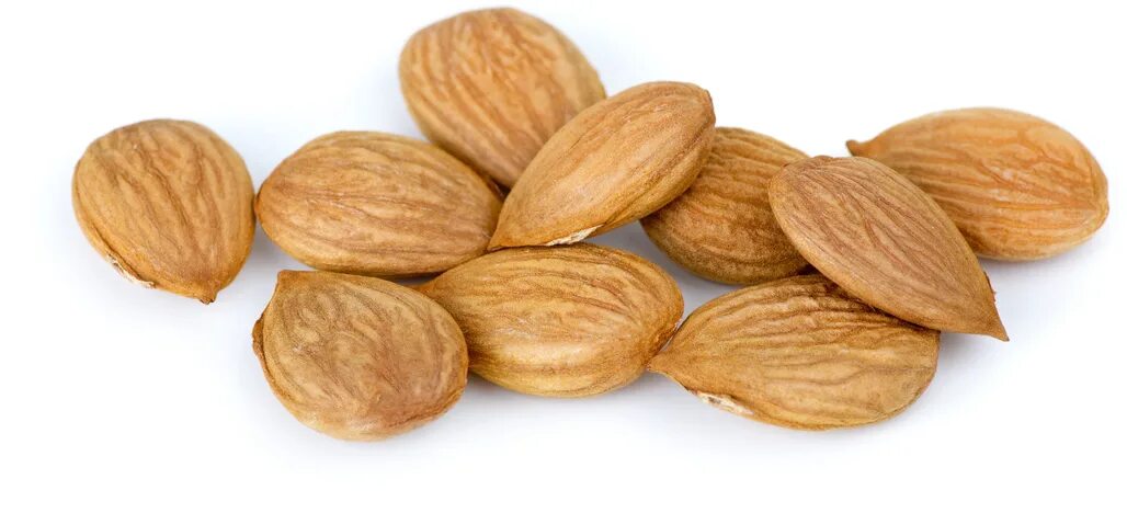 Apricot kernel