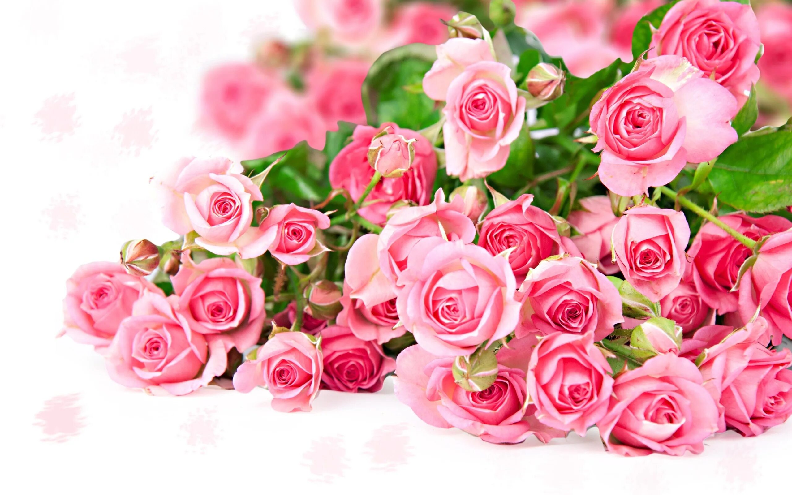 Букет цветов для поздравления. Розовые розы. Букет цветов фон. Красивый букет.
