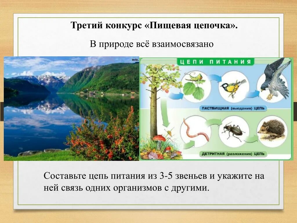 Сообщение природа 3 класс. В природе все взаимосвязано доклад. Рассказ на тему в природе все взаимосвязано. Цепочка в природе окружающий. Доклад 3 класс в природе все взаимосвязано.