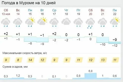 Погода в муром 5