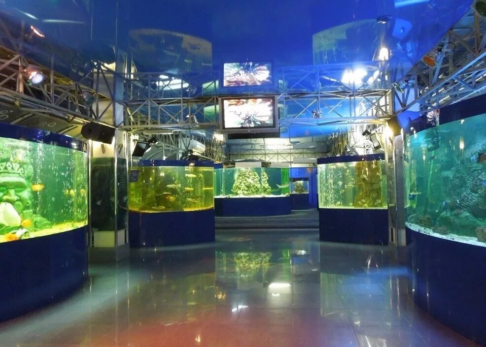 Океанариум краснодар галактика. Краснодарский океанариум ocean park. Океанариум океан парк краснодар. Океанариум ocean park краснодар. Океанариум краснодар галактика.