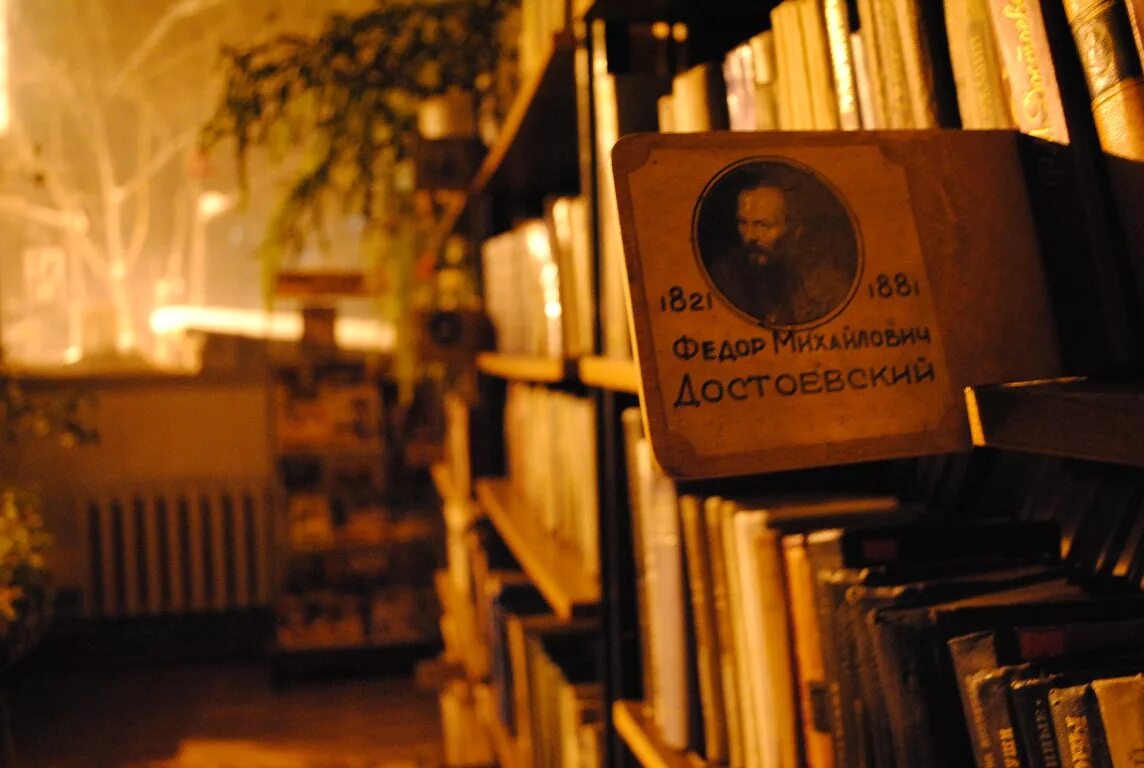 Ночной книжный магазин. Ночь в библиотеке. Путешествие по ночной библиотеке. Библиотечный ночь библиотеке. Вечер в библиотеке.