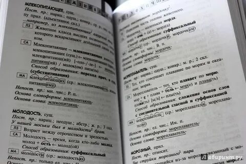 Тая морфемный