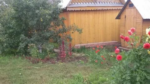 Погода чишминском районе на 10 дней