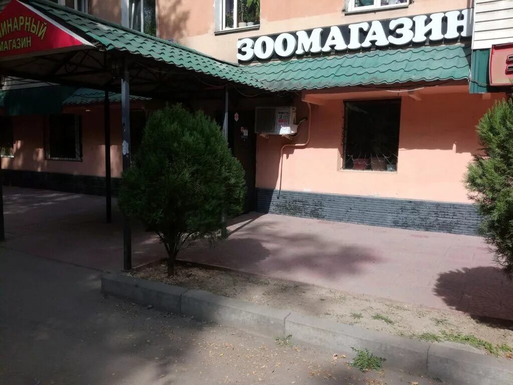 красраб 60 зоомагазин. африканский карликовый ежик. аптека ветеринарная ежик. кот в зоомагазине. зоомагазин ежик.