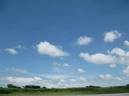 Skys