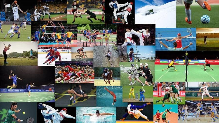 Various kinds of sports. Спорт коллаж. Спортивные секции коллаж. Виды спорта коллаж. Разный спорт.