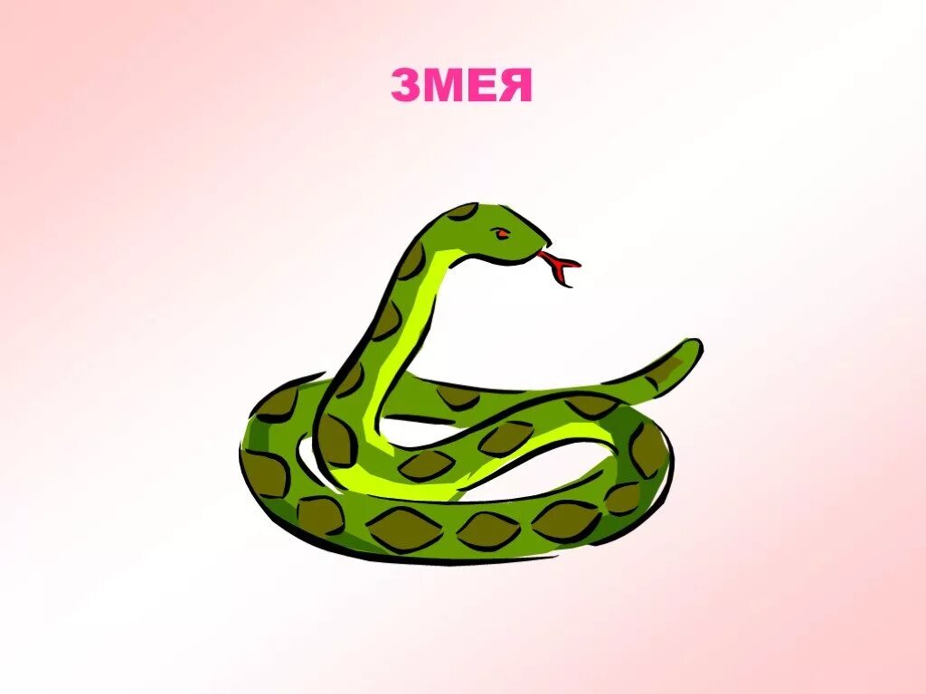 Animals english презентации. Snake карточка на английском. карточки по английскому языку для детей змея. животные на английском змея. змея на английском для детей.