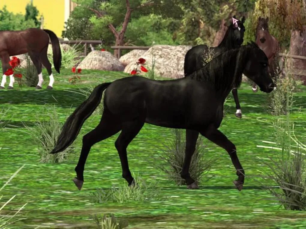 Horse life игра. Вайлдлайф парк 2 Долина лошадей. Игра Horse Life 2. Игра my Horse and me 2. Ellen Whitaker's Horse Life (Horse Life 2).