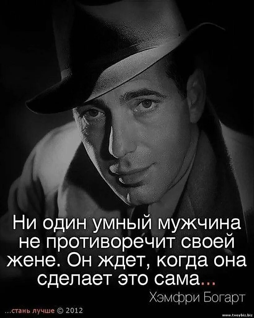 Мудрые парни дата выхода. Мудрые цитаты. высказывания о мужчинах. афоризмы про мужчин. умные высказывания.