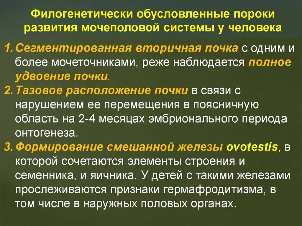 Филогенетические пороки развития выделительной системы. Пороки развития выделительной системы. Врожденные пороки развития мочевыделительной системы. Филогенетически обусловленные пороки.