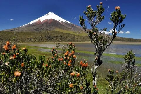 Эквадор страна южной америки
