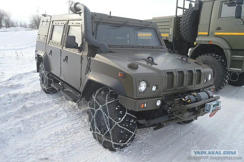 рысь в движении. установка рысь. Lynx lynx linnaeus, 1758. рысь. ручки рысь 2114.