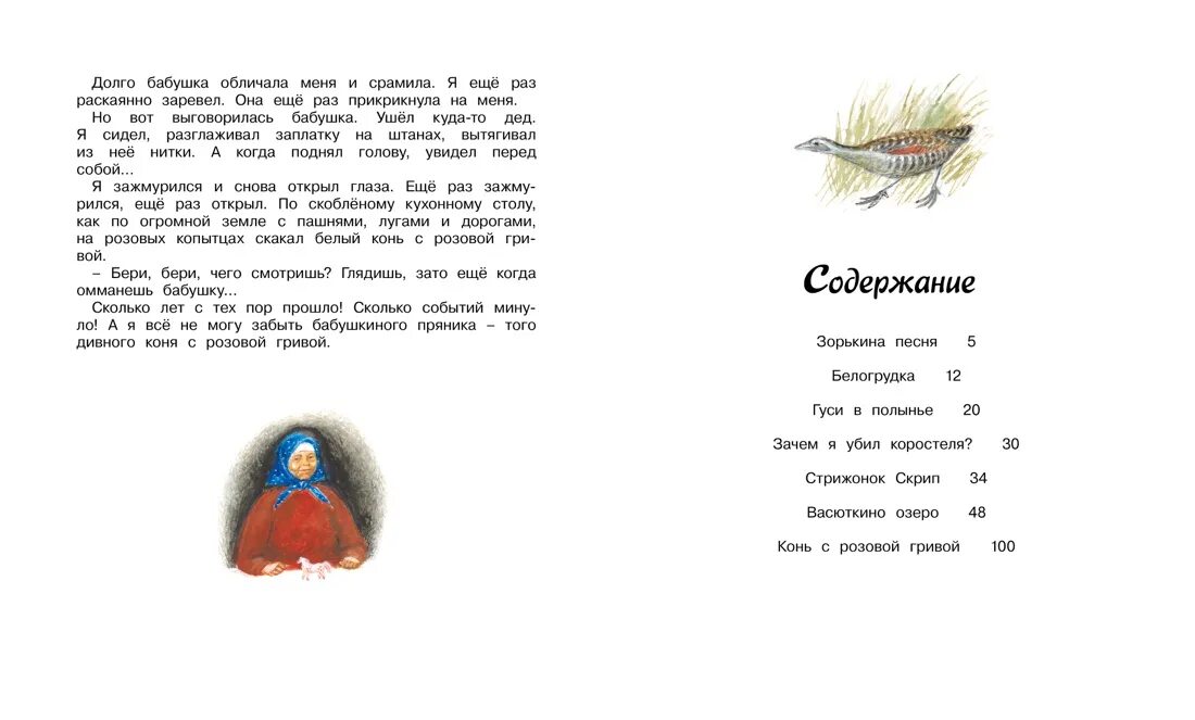 Стрижонок скрип читательский дневник краткое. Астафьев в. "Стрижонок скрип". Стрижонок скрип Астафьев книга. Книга Астафьева Стрижонок скрип. Краткое содержание стрижонка скрипа.