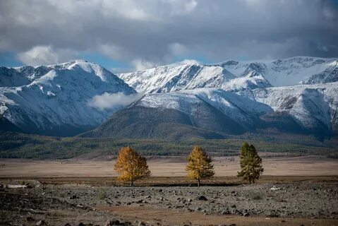 Памятник золотые горы алтая
