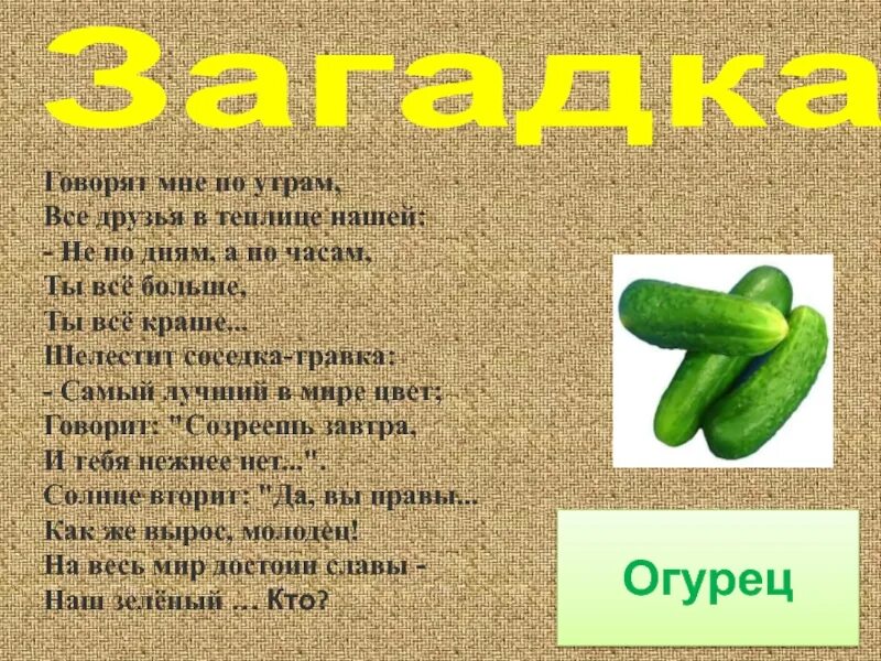 Песня про огурчики. Загадка про огурец. Стих про огурец. Стих про огурец для детей. Загадка на тему огурец.