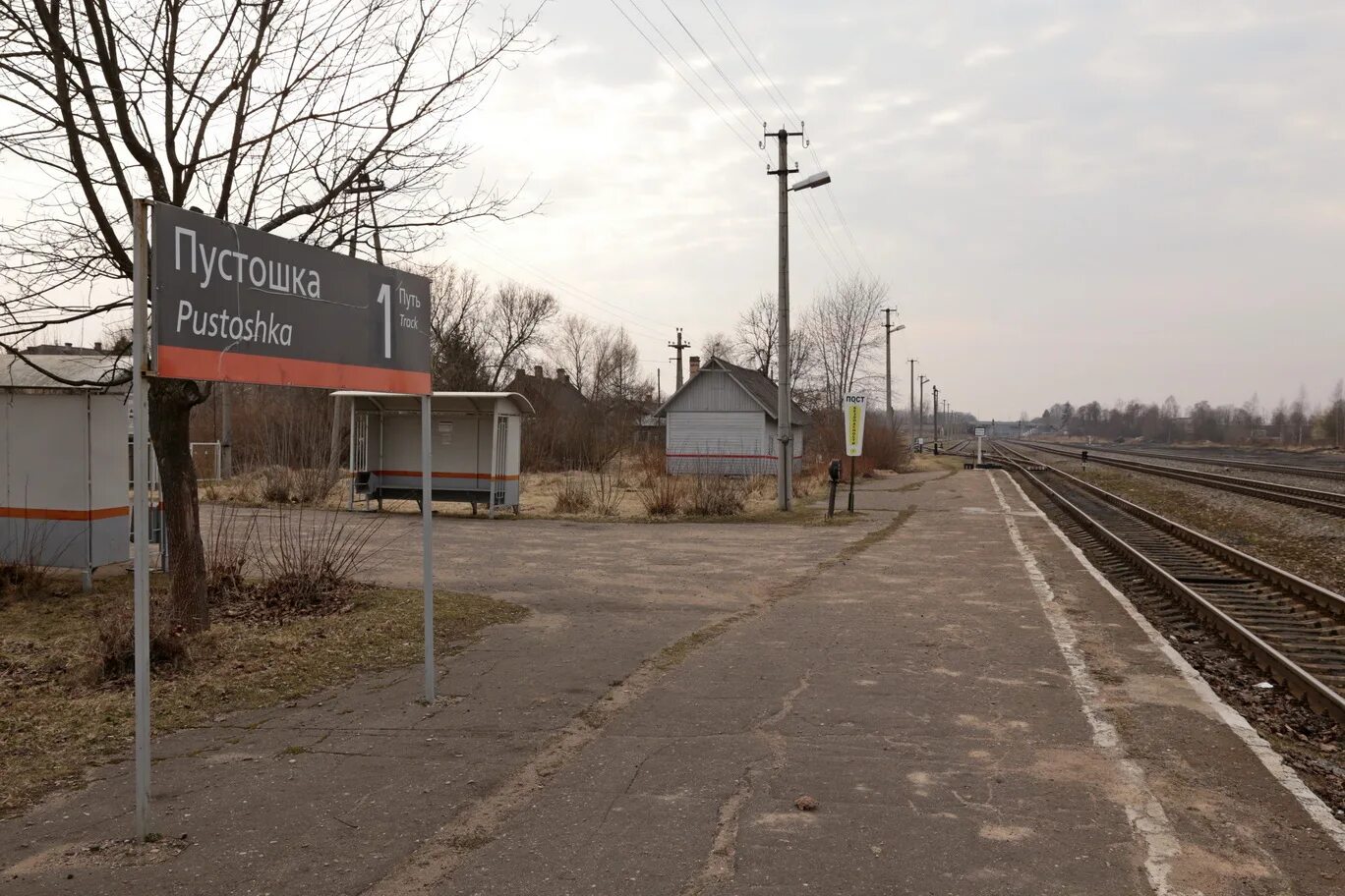 Станция Пустошка. Город Пустошка Псковская область. Деревня Пустошка Псковская область. Псковская область Пустошкинский район город Пустошка. Погода пустошка на 10 дней псковская область