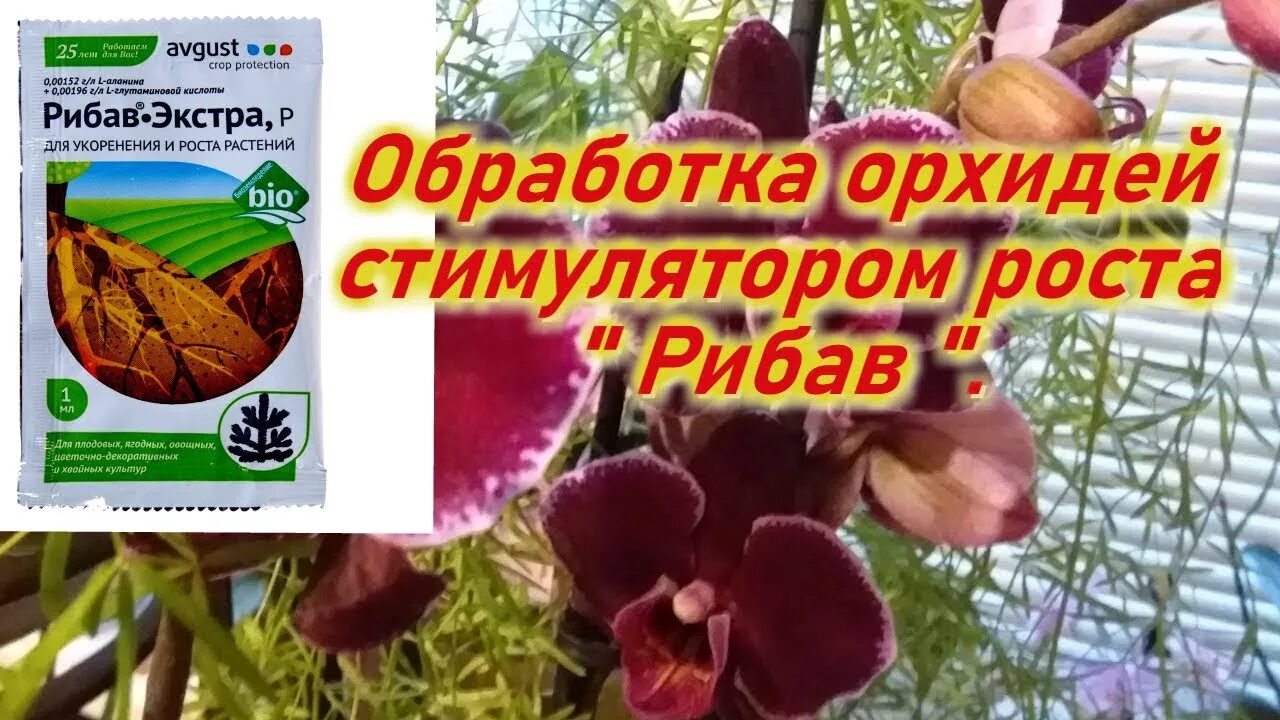 Удобрение Рибав Экстра. Стимулятор роста Рибав-Экстра. Удобрение для орхидей Рибав.