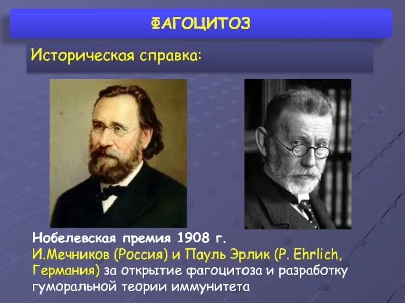 Мечников и эрлих. Нобелевские премии по микробиологии и.и. мечников и пауль эрлих. мечников нобелевская премия 1908 фагоцитоз. мечников и эрлих нобелевская премия. пауль эрлих гуморальная теория иммунитета.