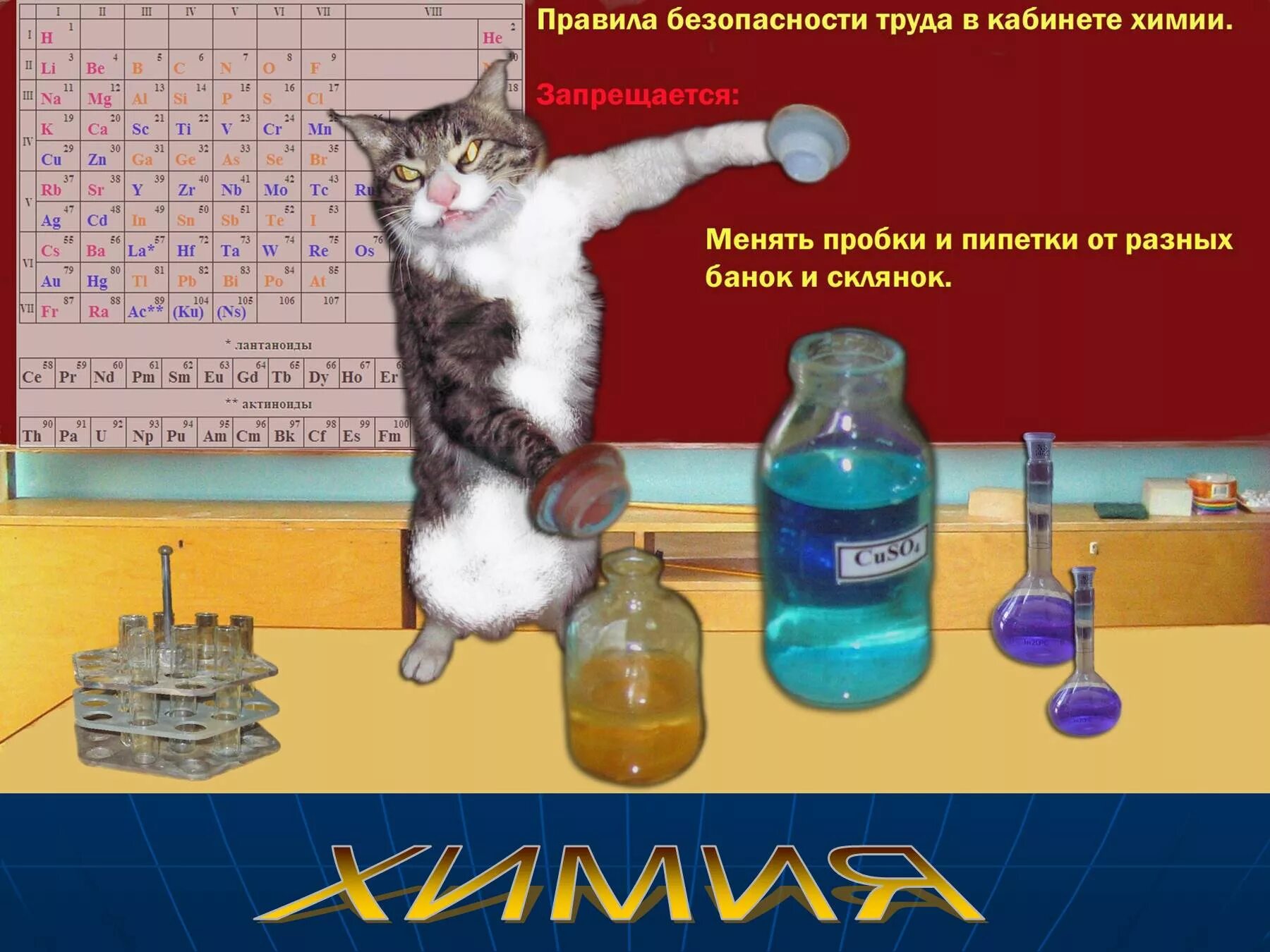 Не знаю химию что делать. Химические шутки. шутки про химию. смешные картинки по химии. смешные мемы про химию.