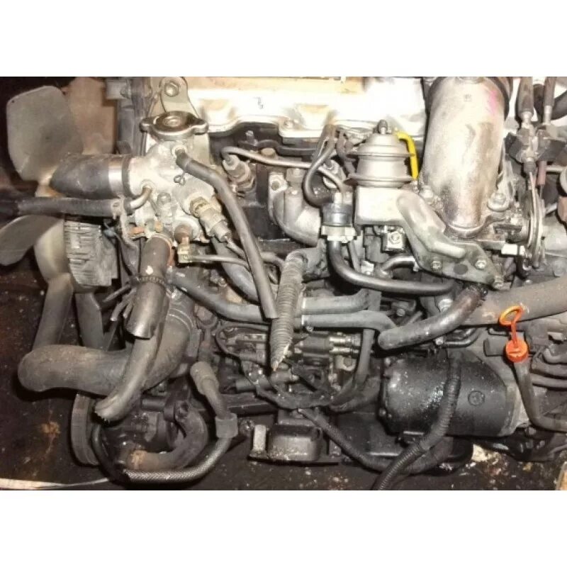 4 дизель 2l toyota двигатель. 4 дизель 2l. 5. Тойота 3l 2. Номер двигателя рекстон 2.