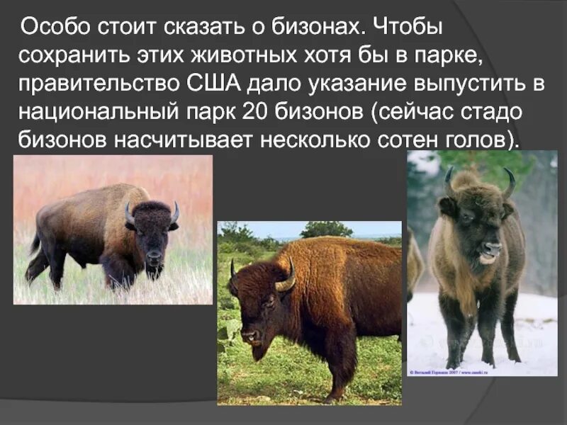 Особое стоит. Особое стоит. Особое стоит. Человек перед стеной. Особое стоит.