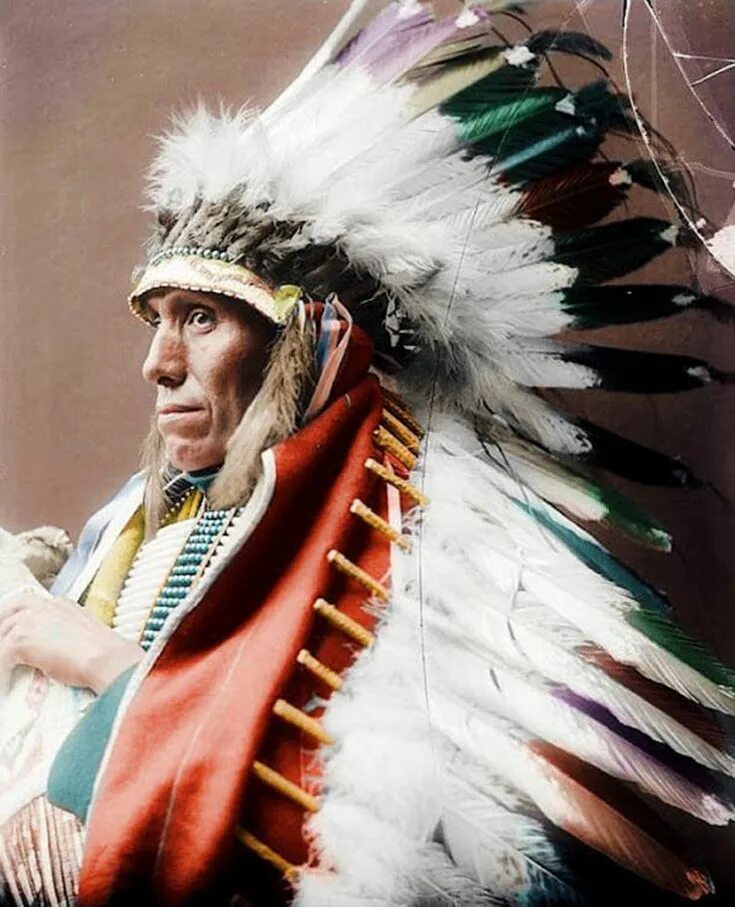 Племя Сиу индейцы. Индейцы Северной Америки Сиу. Вождь индейцев Сиу. Краснокожие индейцы. Indian tribes