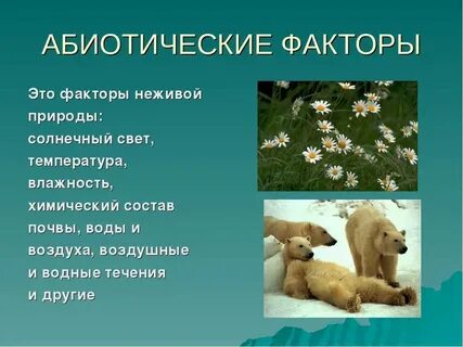 Какую роль различные абиотические факторы играют