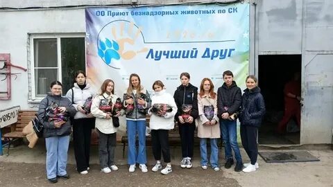 Приют лучший друг