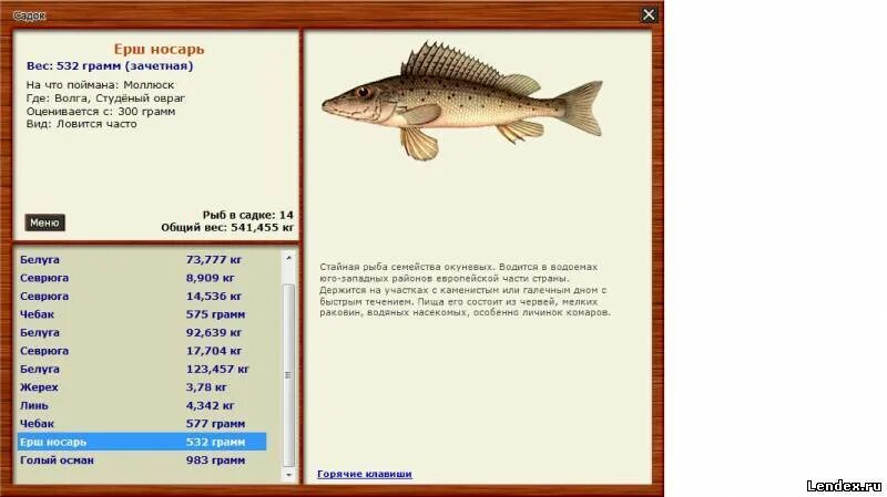 реальная рыбалка ерш карасевый.