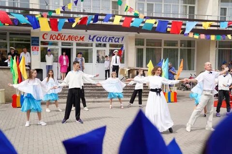 Чайка гелиловичей