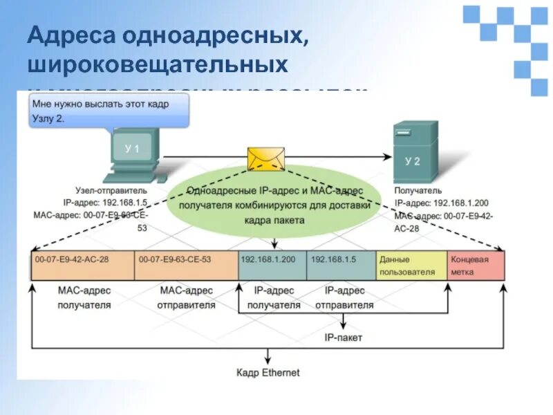Адресация узлов сети. Широковещательный ip адрес. Адресация сетевых устройств. Ip-адресом сетевого узла. Адрес всей подсети и широковещательный адрес.