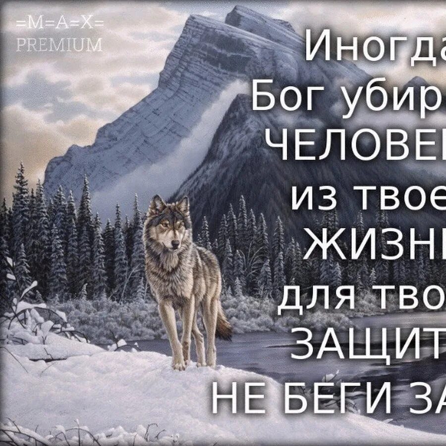 Не беспокойтесь о людях которых бог удалил из вашей. Всегда в молитве и прошении с благодарением открывайте. Не беспокойтесь о людях которых бог удалил. Не беспокойтесь о людях которых бог удалил. Не беспокойтесь о людях которых бог удалил.