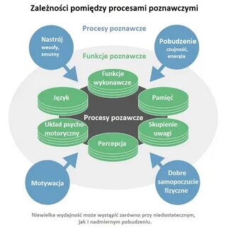 Cognitive processes