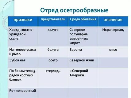 Рыбы признаки рыб 1 класс