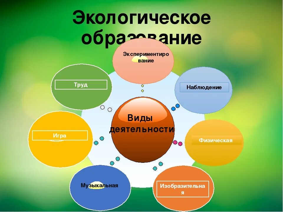 Экологическое образование через. Виды экологического воспитания. Виды экологического образования. Экологическое образование презентация. Экологическая презентация в ДОУ.