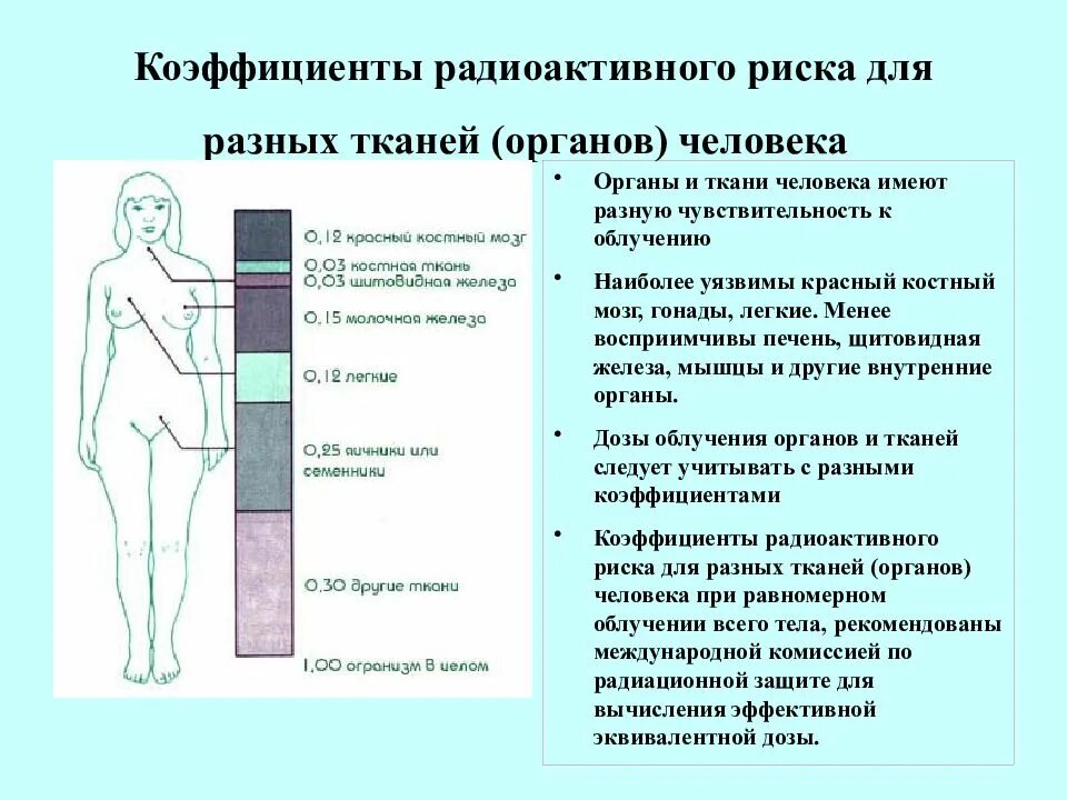 2 защита от излучения. Влияние излучения на костный мозг. органы наиболее чувствительные к радиации. в первоочередной защите от ионизирующего излучения нуждаются. чувствительность тканей к облучению.