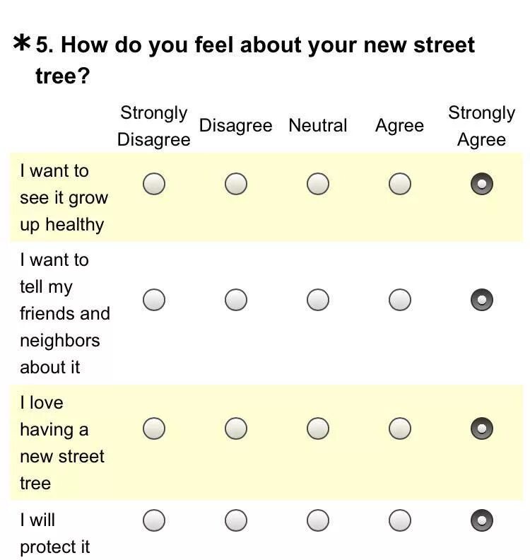 They want to see. Strongly agree шкала. Strongly agree agree. I want to protect. I strongly Disagree.