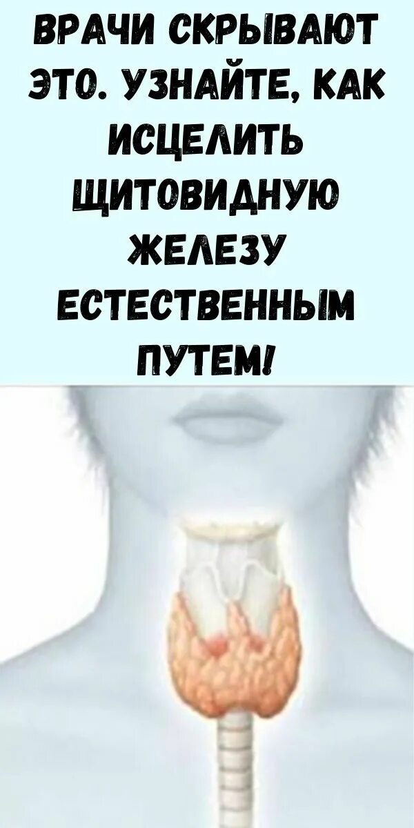 Исцеление щитовидной железы. Проблемы с щитовидной железой. Щитовидная железа исцеление. Исцеление щитовидной железы звуком.