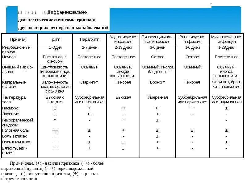 Через сколько проявляется вирусная инфекция. Через сколько проявляется вирусная инфекция