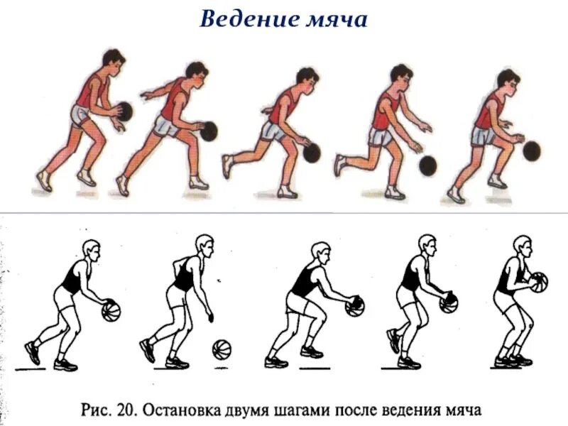 Правильное ведение мяча в баскетболе. Техника ведения и передачи мяча в баскетболе. Правила техники ведения мяча в баскетболе. Совершенствование техники ведения мяча в баскетболе баскетбол. 7 ведение мяча