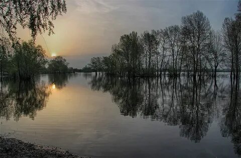 Белая зоря